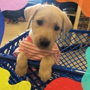 Meet your Posher, Qianqian